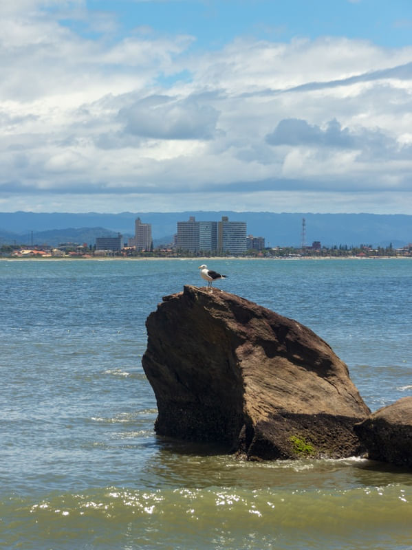 PEDRA DA GAIVOTA