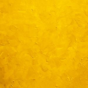 GOLDENROD - BROWN COLORS SERIE #14 BY SINGLE COLOR STUDIO