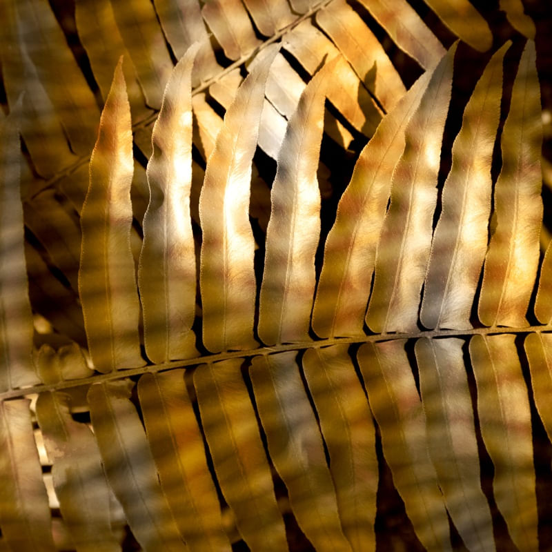 GOLDEN SAMAMBAY 4