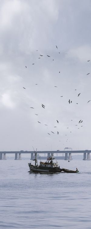 PELA PONTE RIO NITERÓI