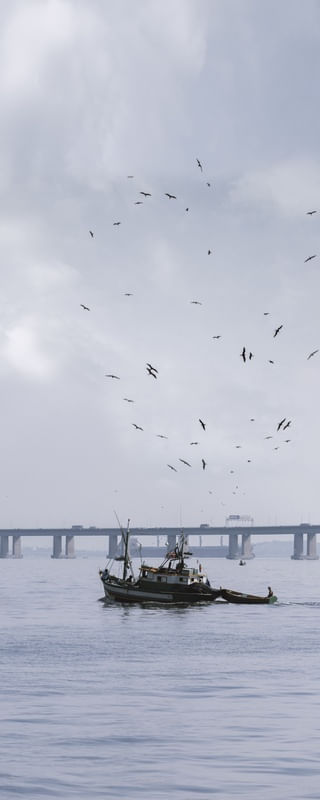 PELA PONTE RIO NITERÓI