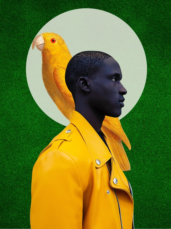 NATURE COLLECTION: PARROT