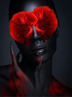 CONCEPT COLLECTION - RED FISH