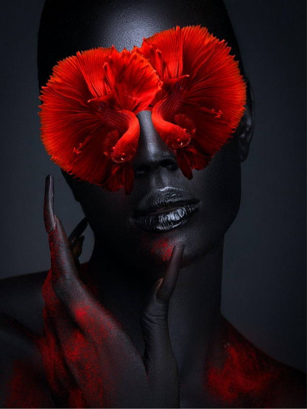 CONCEPT COLLECTION - RED FISH
