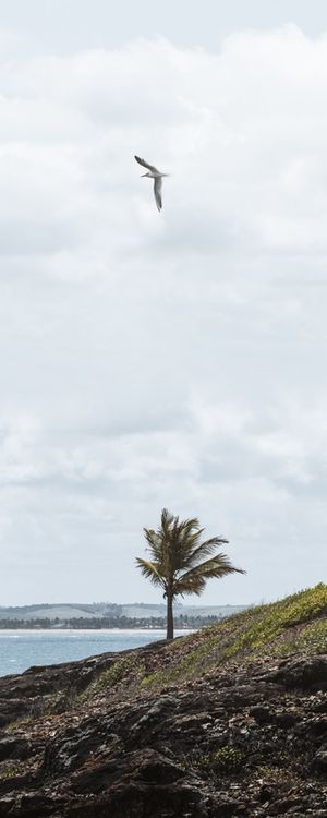 A ILHA QUE NUNCA DORME
