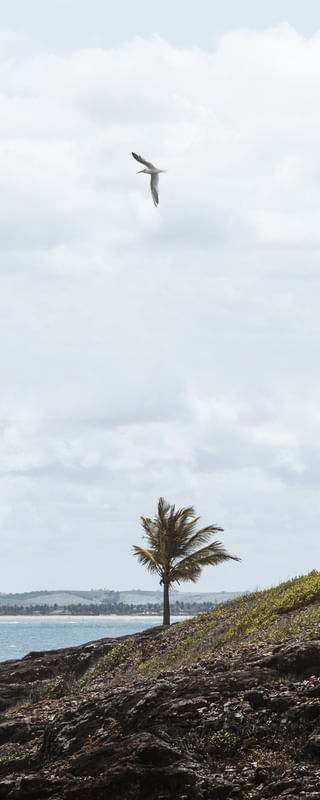 A ILHA QUE NUNCA DORME