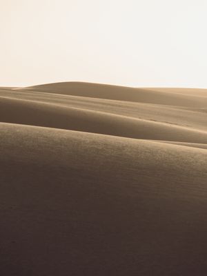 TEXTURA MINIMALISTA DAS DUNAS