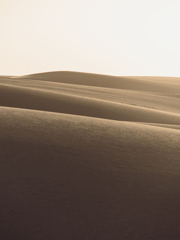 TEXTURA MINIMALISTA DAS DUNAS