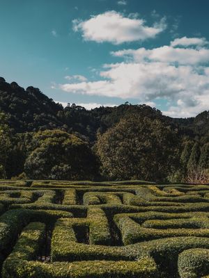 CENTER OF THE MAZE