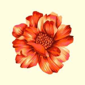 FLOR ÚNICA