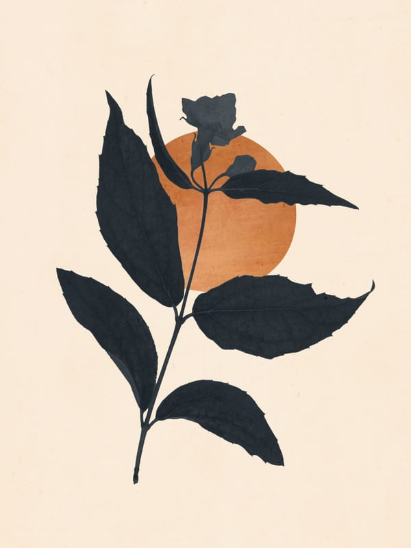 ABSTRACT ART /MINIMAL PLANT 101