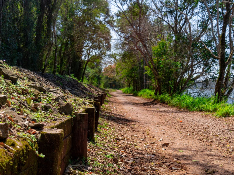 O CAMINHO NO PARQUE IGUAZÚ