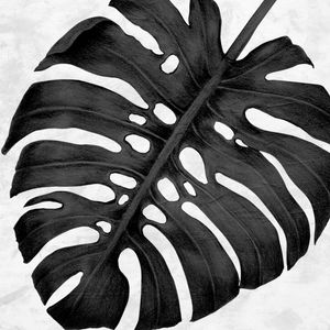 FOLHA TROPICAL - 15A - Q