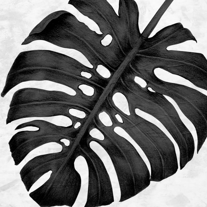 FOLHA TROPICAL - 15A - Q