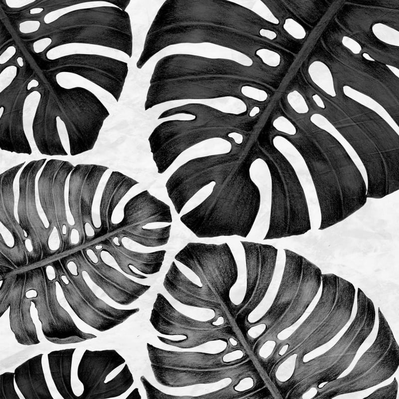FOLHA TROPICAL - 15D - Q