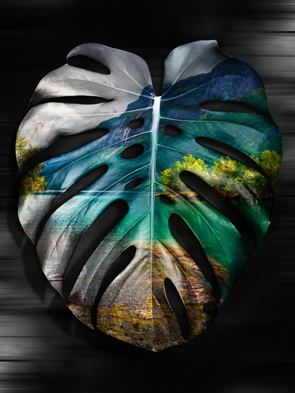 FOLHA TROPICAL - 18A