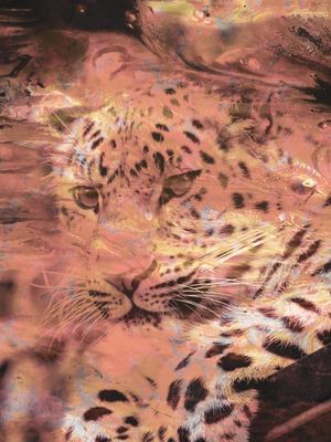 NATURAL JAGUAR