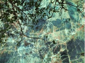 LEAF MARBLE