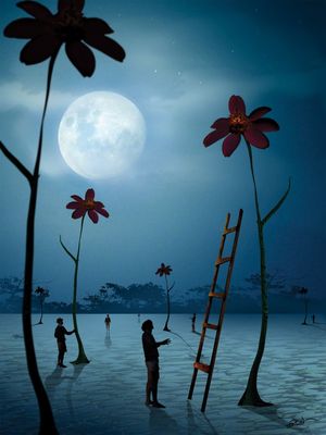 "O ESPAÇO DAS FLORES"