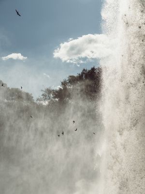 OS PÁSSAROS DA CACHOEIRA