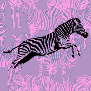 SALTO DA ZEBRA