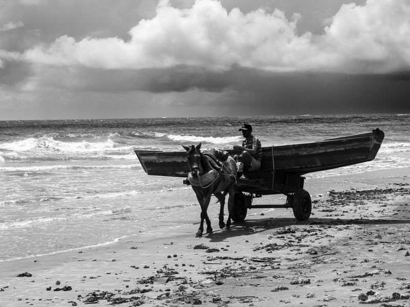 LEVANDO O BARCO