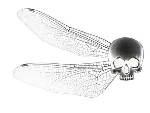 LIBÉLULA SKULL