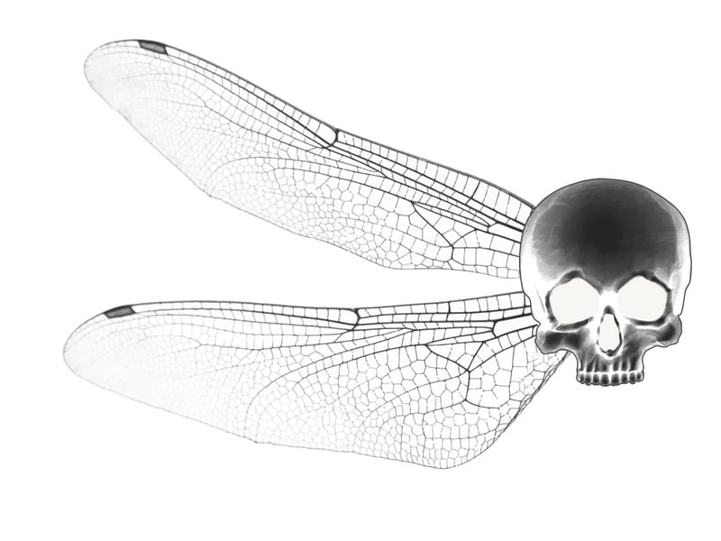 LIBÉLULA SKULL