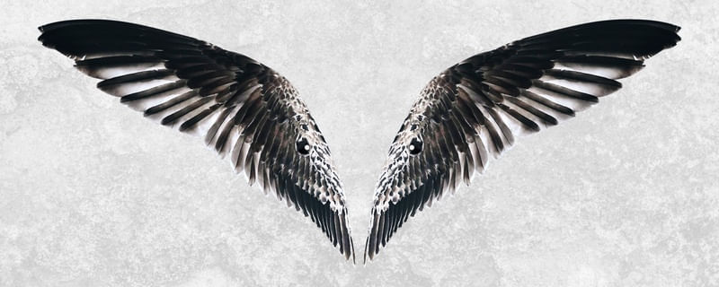 MYSTERY OF THE WINGS
