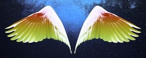 FLIGHT IN THE LIGHT