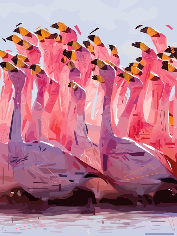 FLAMINGOS GEOMÉTRICOS