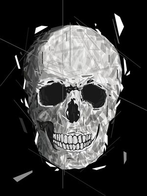 GEOMETRIC BLACK SKULL