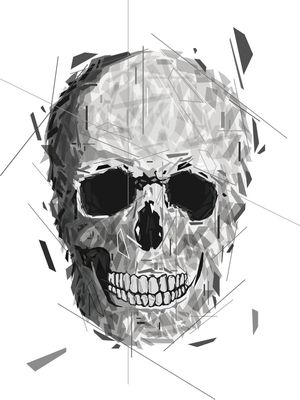GEOMETRIC WHITE SKULL