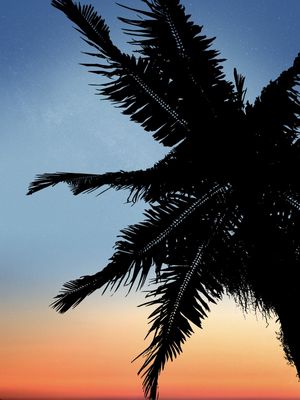 PÔR DO SOL EM EMBU DAS ARTES 02