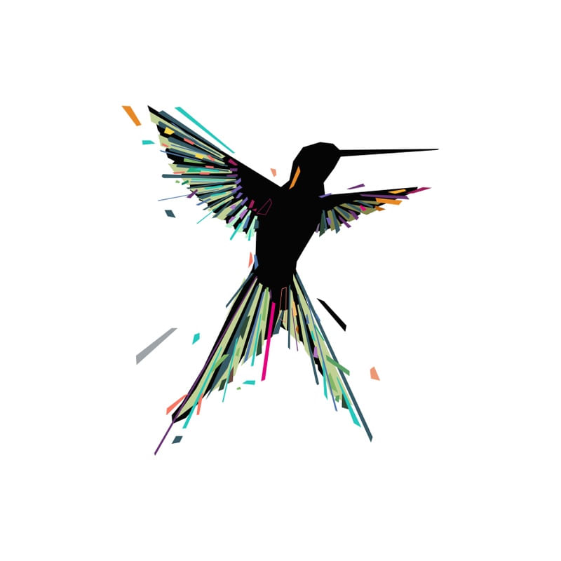 BEIJA-FLOR 02