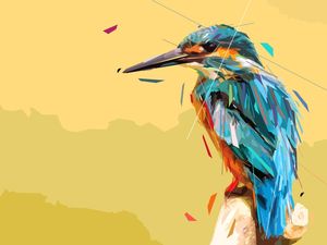 COLORFUL BIRD GEO