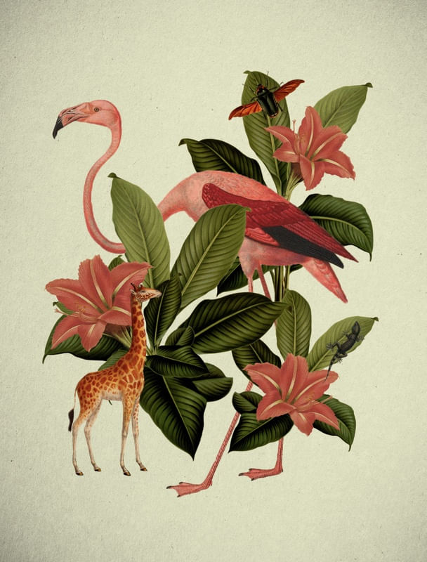 GIGANTES DA NATUREZA