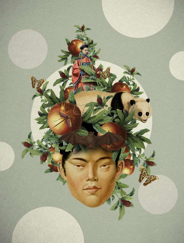 CHINÊS TROPICAL