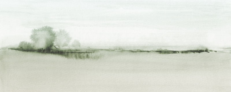 GREENISH WOODED VIEW - PANORAMIC
