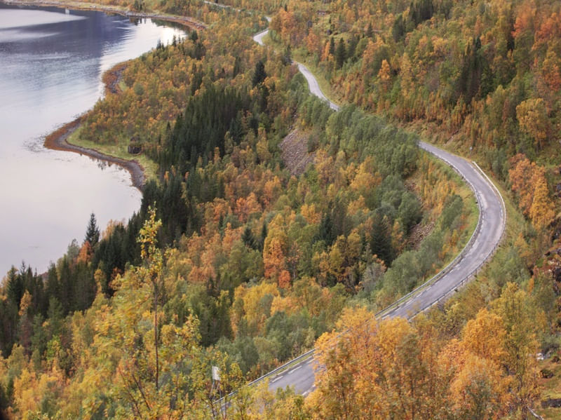 NORWAY ROAD