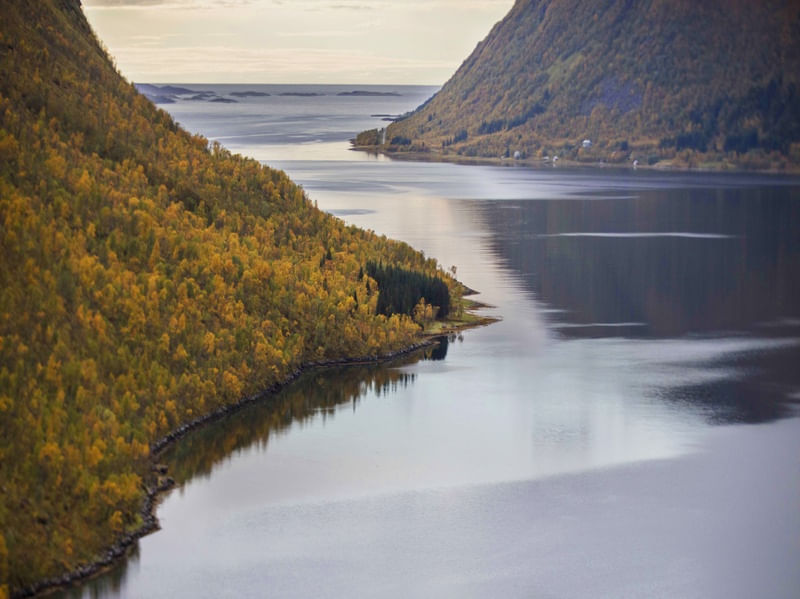 FJORD