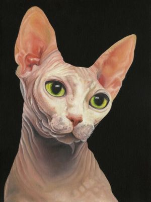 SPHYNX L