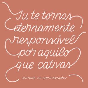 ETERNAMENTE - PEQUENO PRÍNCIPE - SALMÃO E BRANCO