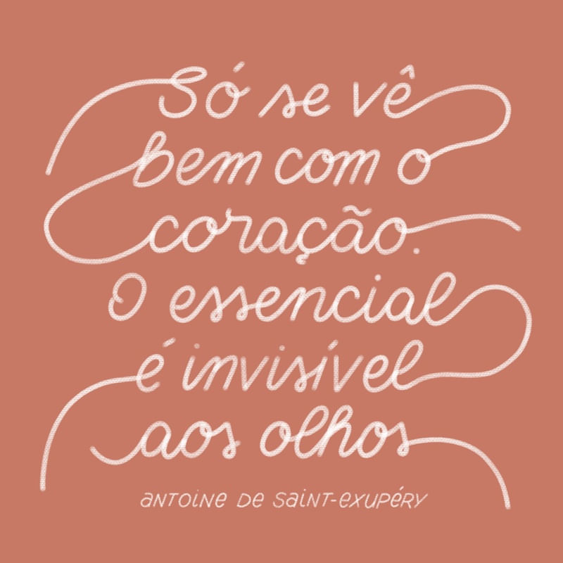 INVISÍVEL - PEQUENO PRÍNCIPE - SALMÃO E BRANCO