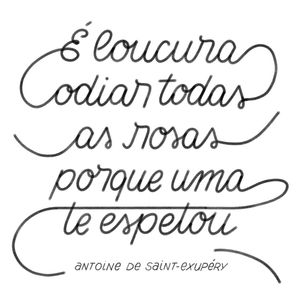 ROSAS - PEQUENO PRÍNCIPE - BRANCO E PRETO