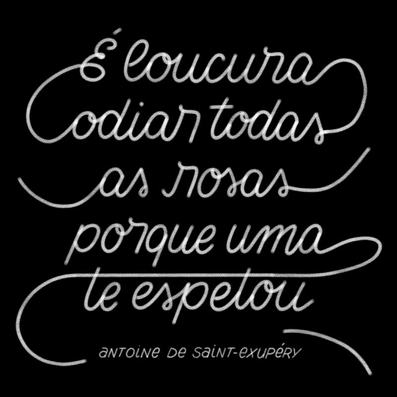 ROSAS - PEQUENO PRÍNCIPE - PRETO E BRANCO