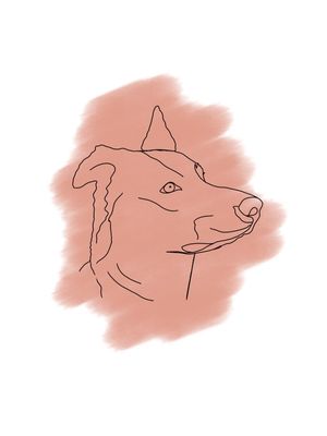 MINIMAL DOG