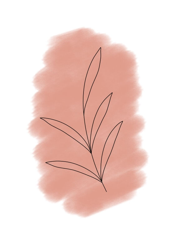 PLANTA MINIMALISTA