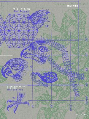 BEAKS, HEADS AND FEET OF BIRDS