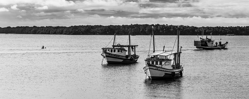 BARCOS NO MAR TRANQUILO PB